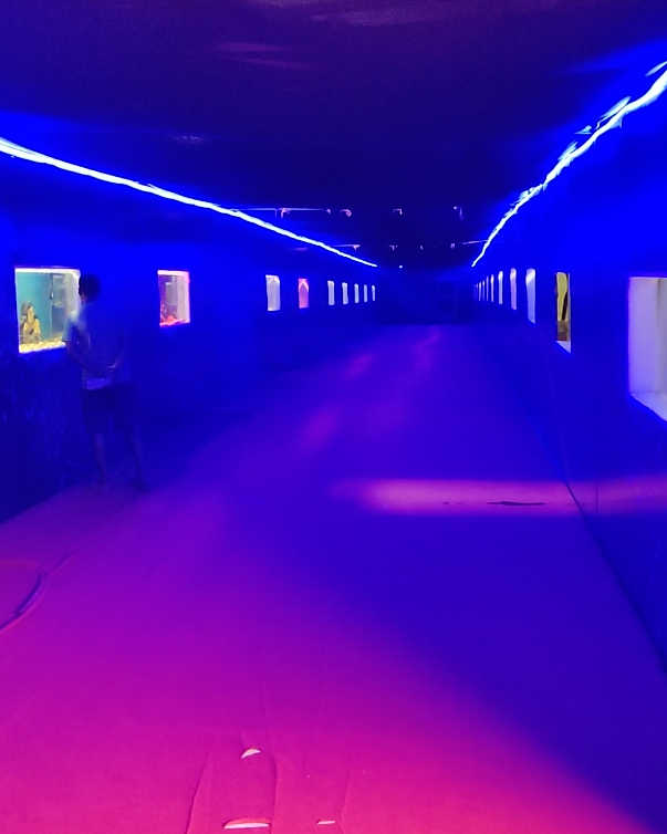 Underwater Fish tunnel Zoo